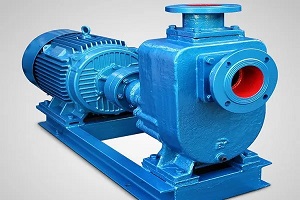 0128203T-BALLAST PUMP
