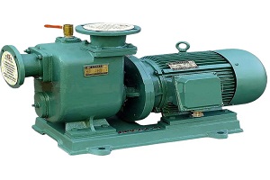 022810O-MARIA PUMP